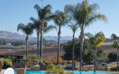 Why Summer Is the Most Important Time to Pay Attention to Your Pool Surface